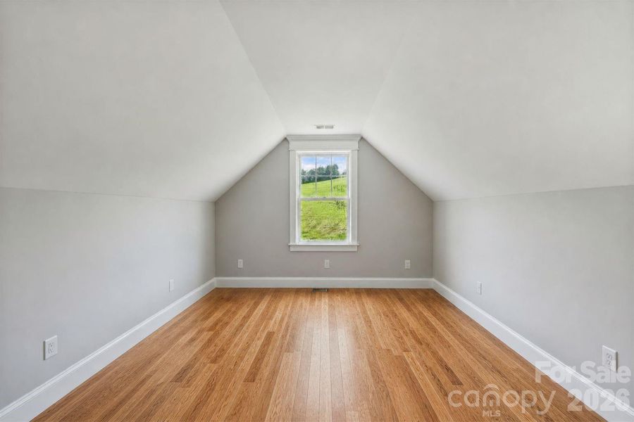 Frog/Bonus Room