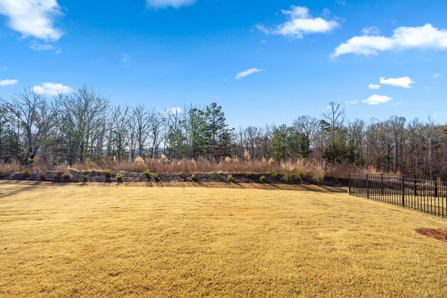 Natural landscape and outdoor views near  in Hoschton (Image 57).
