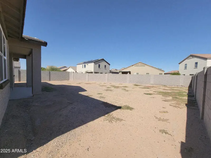 1000056161 1000056161