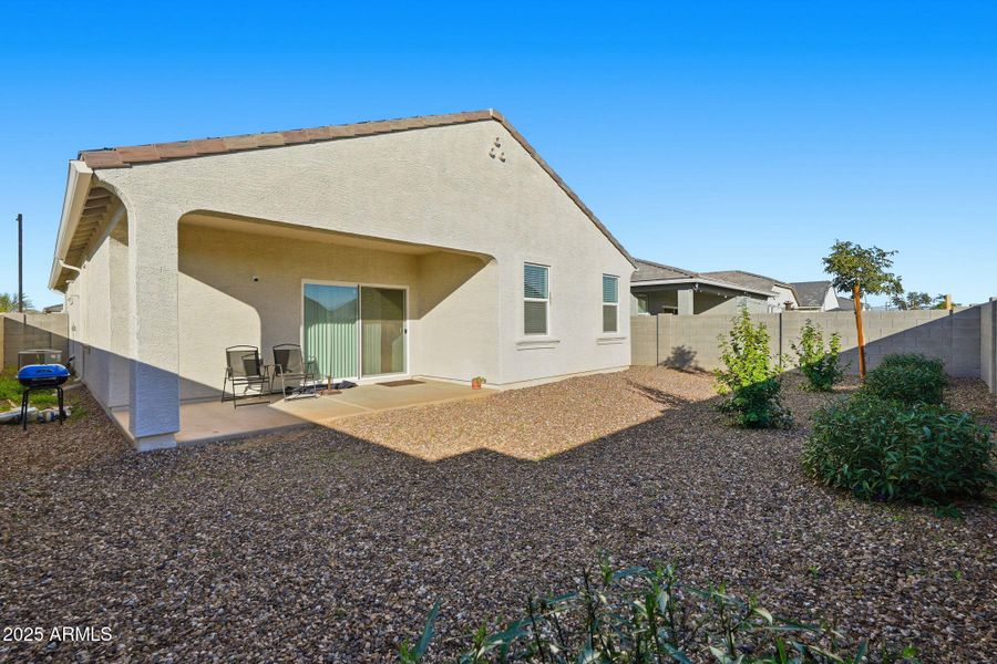 Backyard Desert Landscape