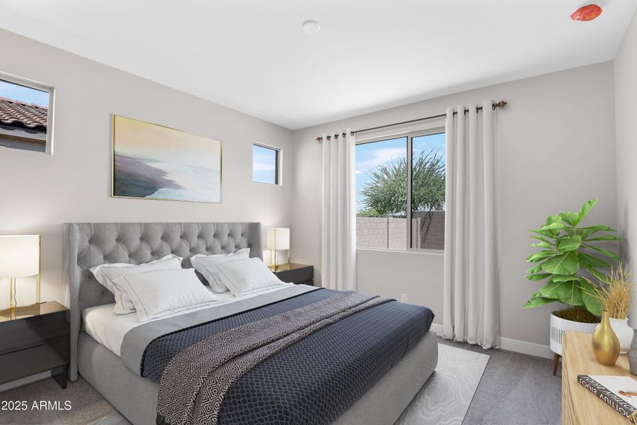 PRIMARY SUITE_Final 02