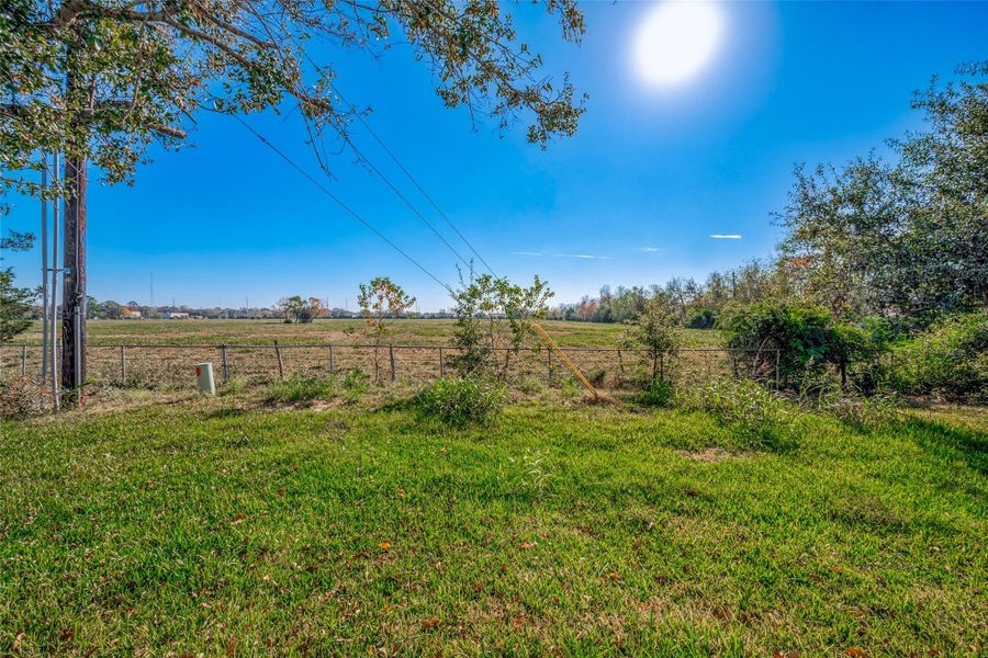 Natural landscape and outdoor views near  in Needville (Image 34).