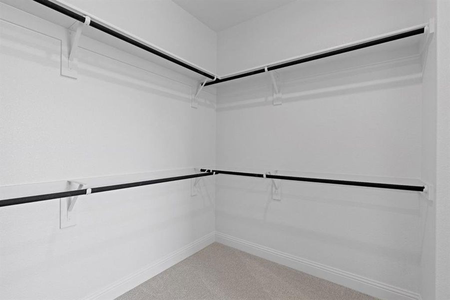 DAL_Painted Tree_Easton_3925 Menard Street (28) DAL_Painted Tree_Easton_3925 Menard Street (28)