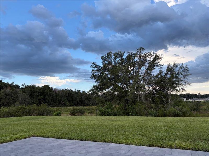 Natural landscape and outdoor views near in Ocoee (Image 31). Natural landscape and outdoor views near in Ocoee (Image 31).