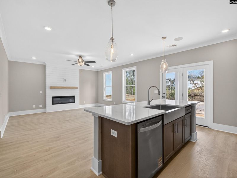 Furnished interior view inside a new home in Collins Cove, Chapin (Image 6).