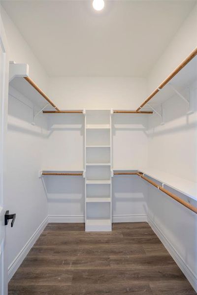 Spacious closet featuring dark hardwood / wood-style flooring