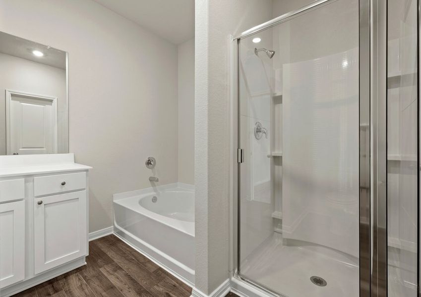 Master bathroom with step-in shower Master bathroom with step-in shower