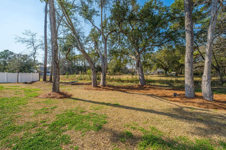 Natural landscape and outdoor views near  in Awendaw (Image 38).