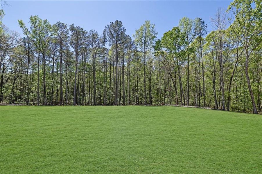Natural landscape and outdoor views near  in Monroe (Image 77).