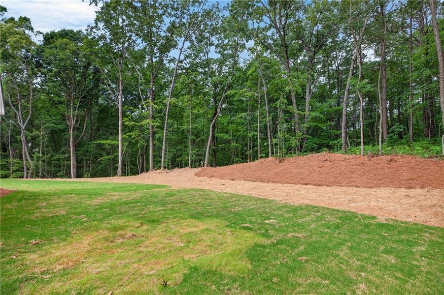 Natural landscape and outdoor views near in Dallas (Image 51). Natural landscape and outdoor views near in Dallas (Image 51).