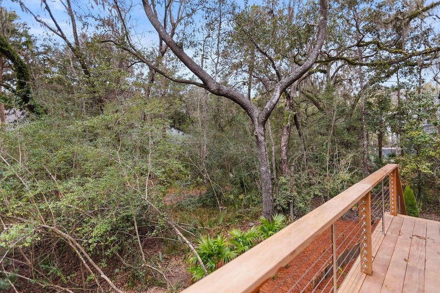 Natural landscape and outdoor views near  in Seabrook Island (Image 51).