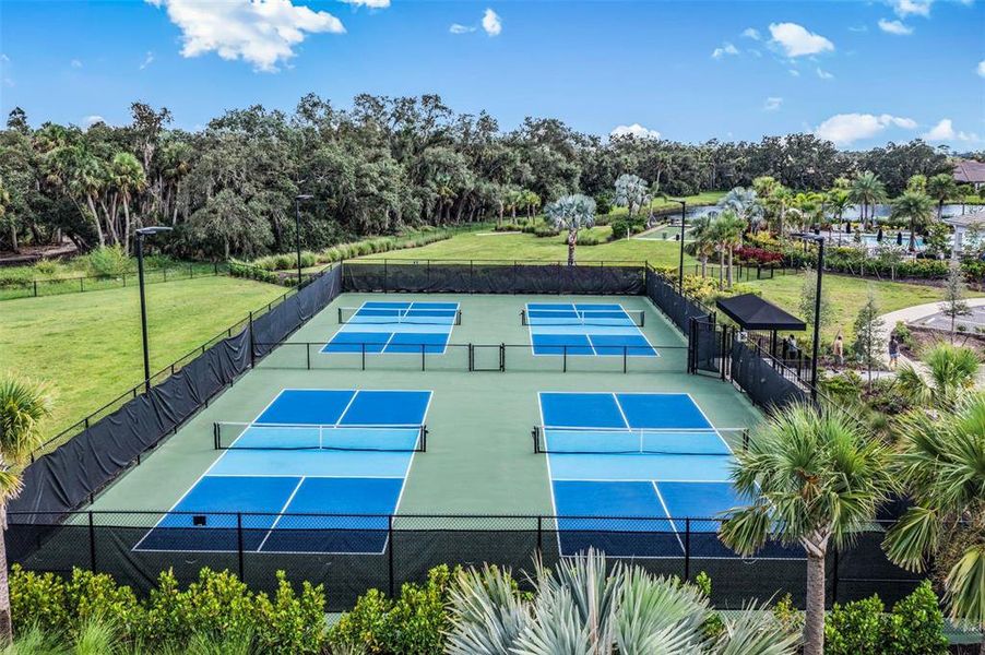 Community amenities in , Sarasota (Image 36). Community amenities in , Sarasota (Image 36).