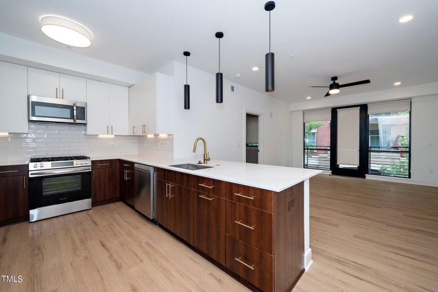 8-web-or-mls-615 W Peace St 306 (3 of 21