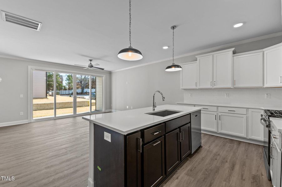 13-web-or-mls-DSC_6393 13-web-or-mls-DSC_6393