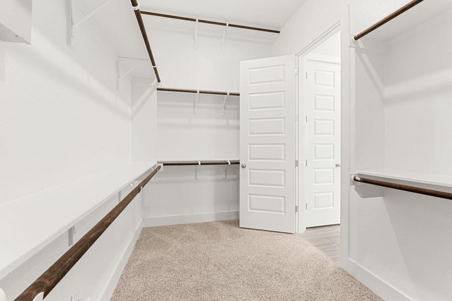 Walk in closet with carpet flooring Walk in closet with carpet flooring
