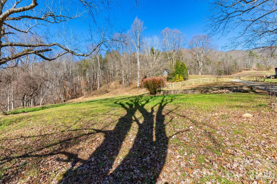 Natural landscape and outdoor views near  in Weaverville (Image 21).