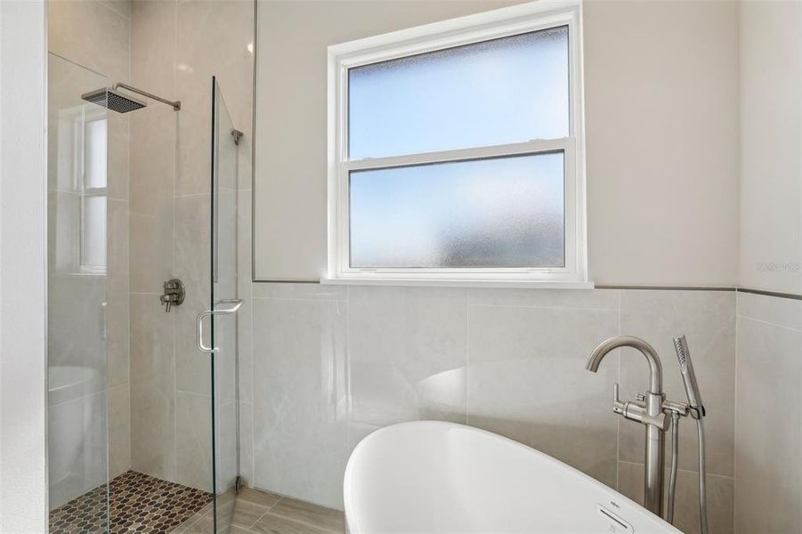 Walk-in Shower & Free Standing Tub