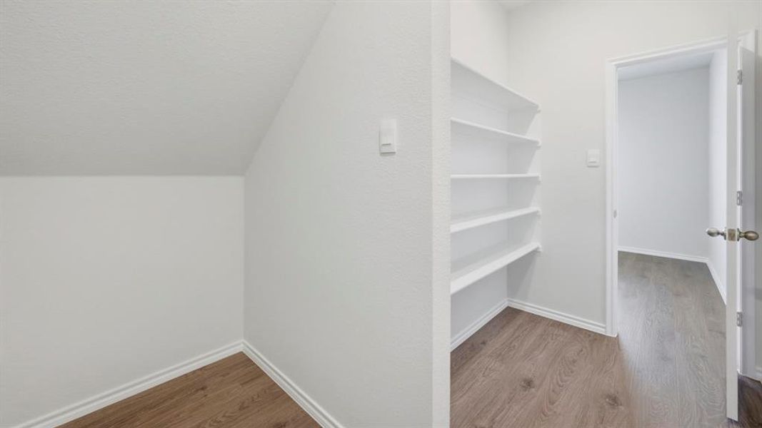 Spacious closet with light wood-style flooring