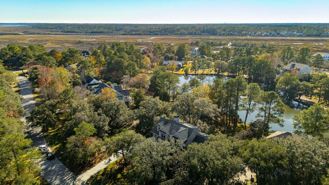 Natural landscape and outdoor views near  in Johns Island (Image 82).