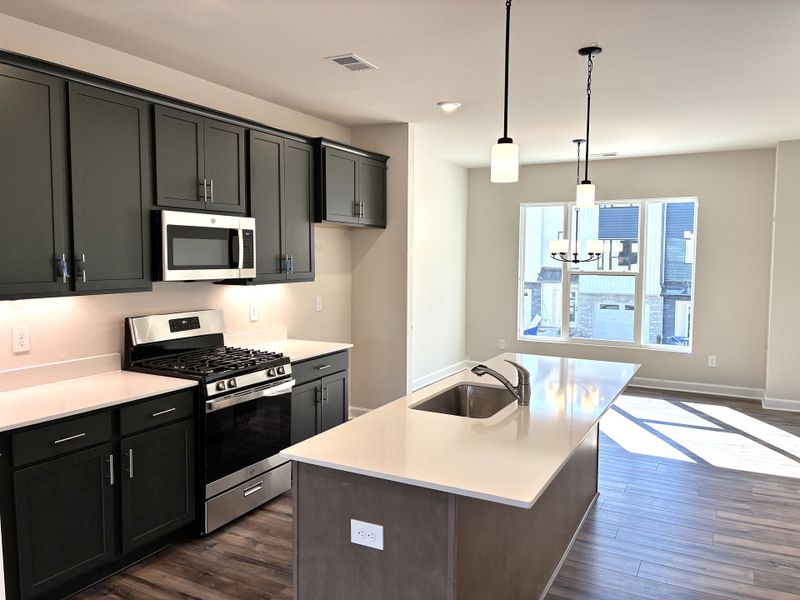 Furnished interior view inside a new home in Holly View, Greenville (Image 9).