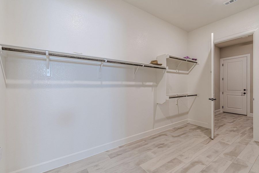 Spacious closet featuring light wood-type flooring