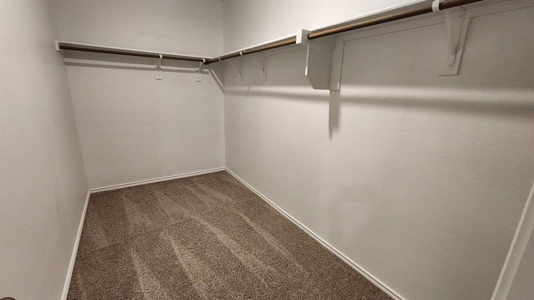 Walk-in closet featuring light beige walls and brown carpeting Walk-in closet featuring light beige walls and brown carpeting