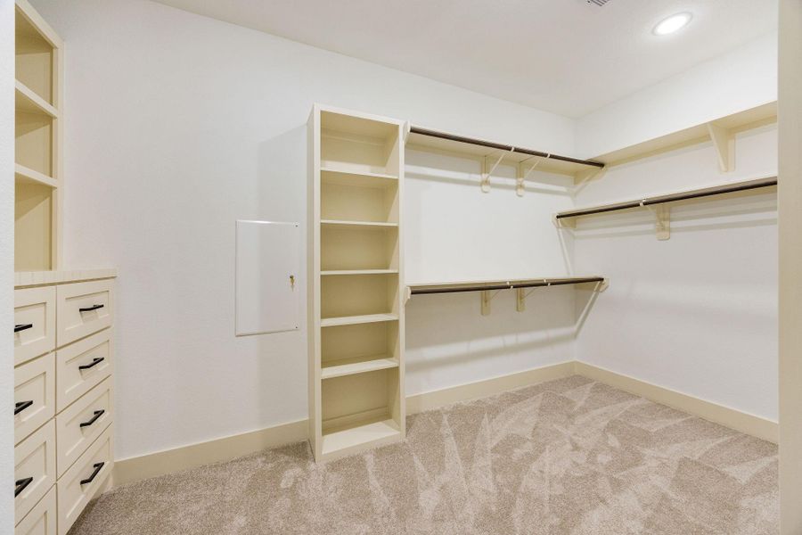 A spacious walk-in closet in the primary bedroom with carpeted flooring, built-in shelving, and multiple hanging rods for ample storage.