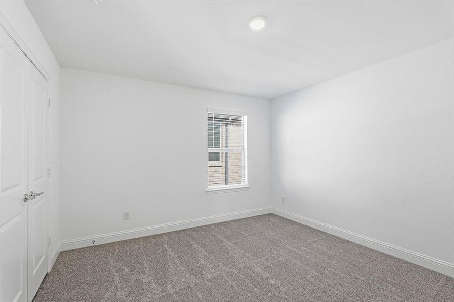 1008 Rainshower ~ Ready Now 1008 Rainshower ~ Ready Now