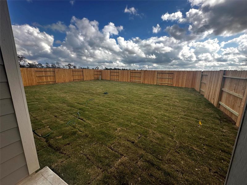 construction progress - backyard construction progress - backyard