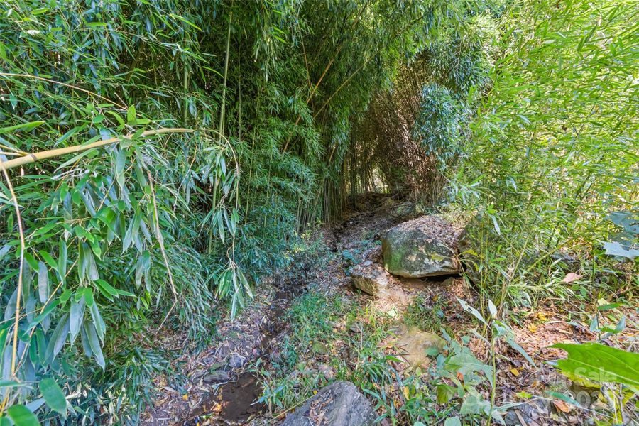Natural landscape and outdoor views near  in Sylva (Image 32).