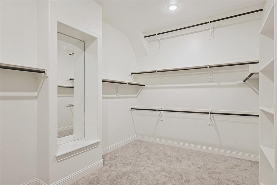 Spacious closet featuring light carpet