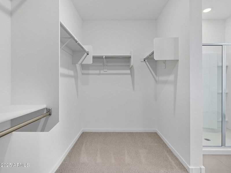 27-web-or-mls-Bee-27 27-web-or-mls-Bee-27