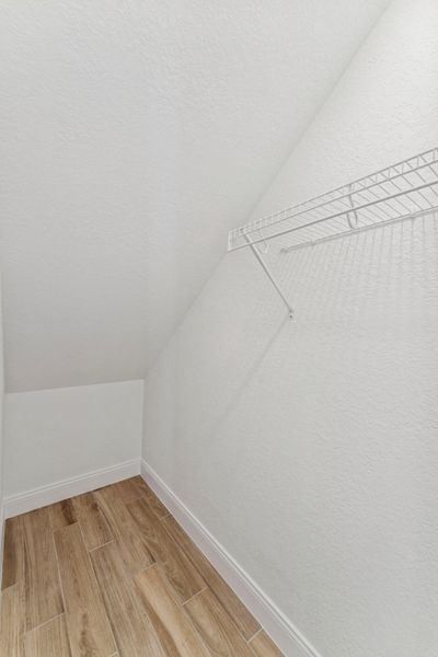 Closet Under Stairs