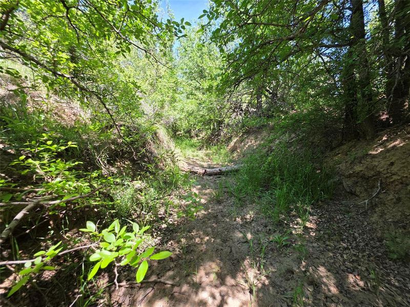 Natural landscape and outdoor views near  in San Saba (Image 32).