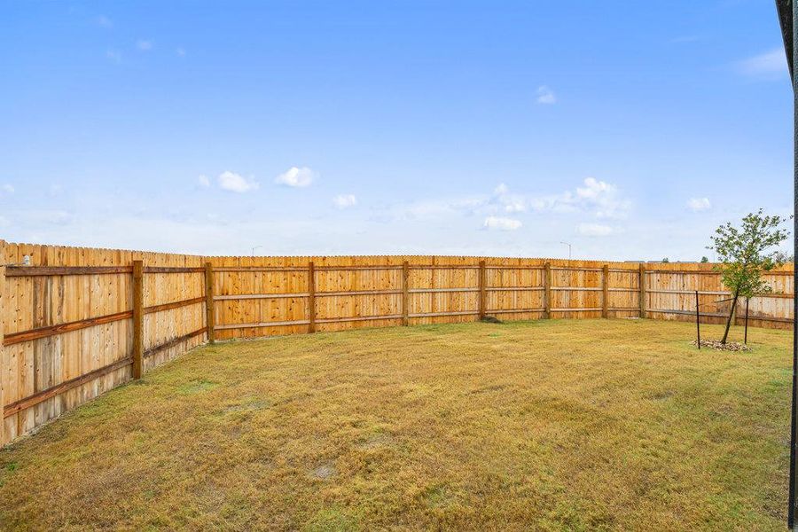 View of fenced backyard