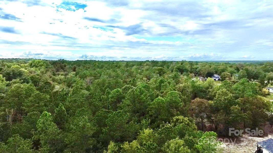Natural landscape and outdoor views near  in Jefferson (Image 18).