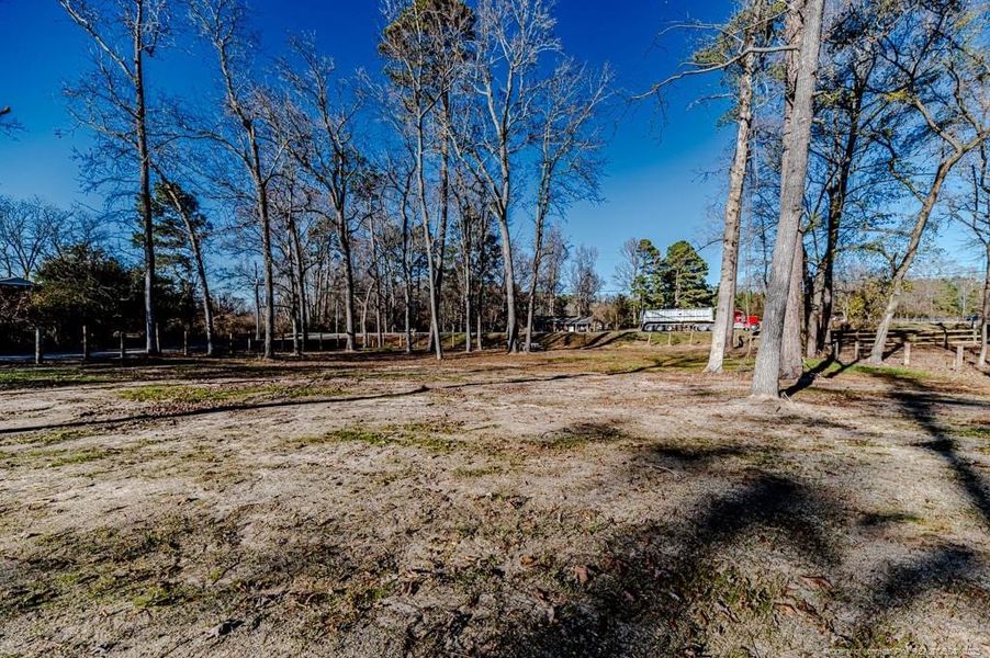 Front Yard View from Parking Area Front Yard View from Parking Area