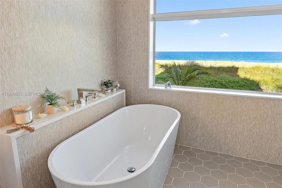 Tub with a view