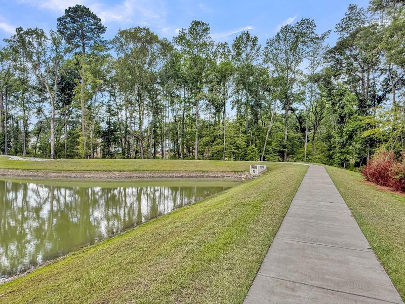 Natural landscape and outdoor views near Central Creek in Goose Creek (Image 62).