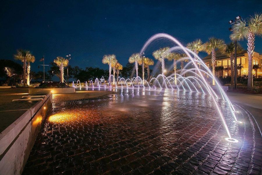 Community amenities in , Charleston (Image 39).