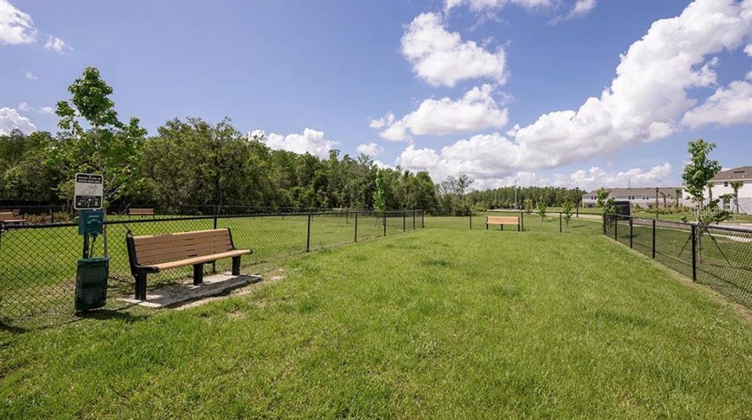 Community amenities in Firethorn, Parrish (Image 20).