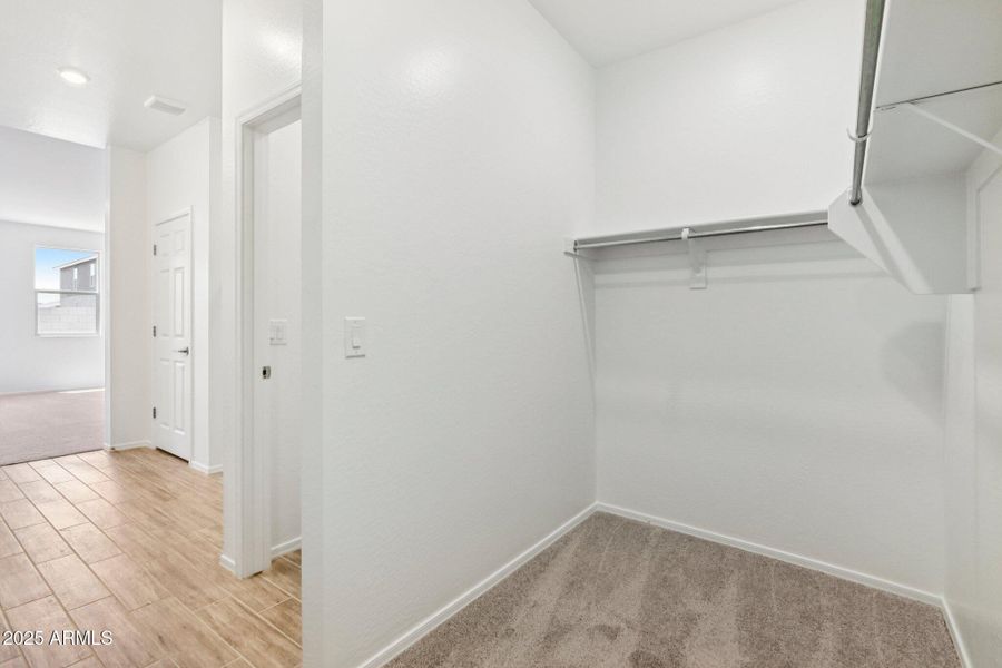 20-web-or-mls-W Pecan Wds-S1907-020 20-web-or-mls-W Pecan Wds-S1907-020