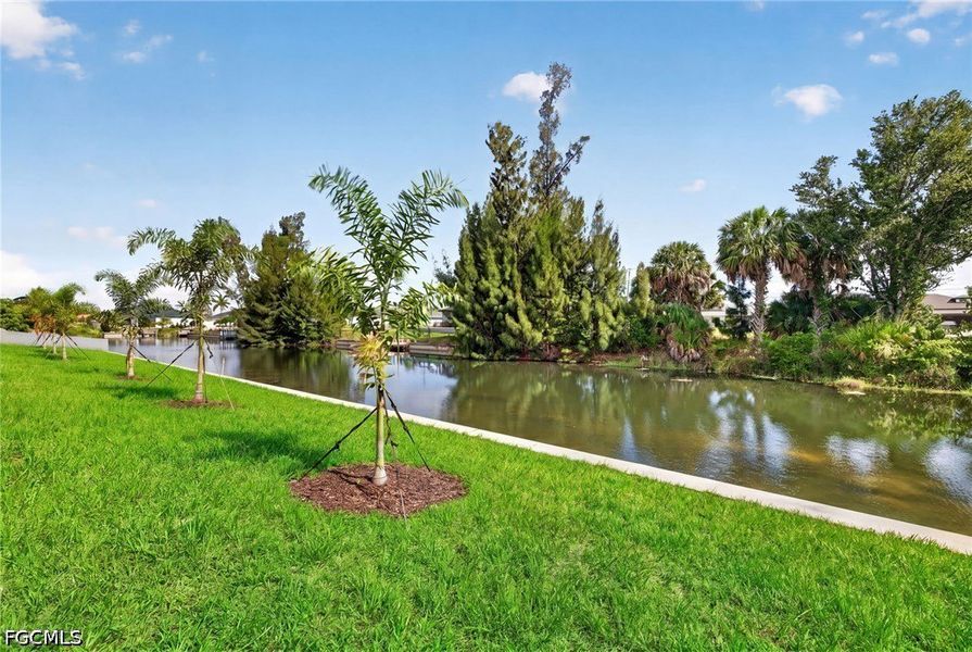 Natural landscape and outdoor views near Cape Coral in Cape Coral (Image 36). Natural landscape and outdoor views near Cape Coral in Cape Coral (Image 36).