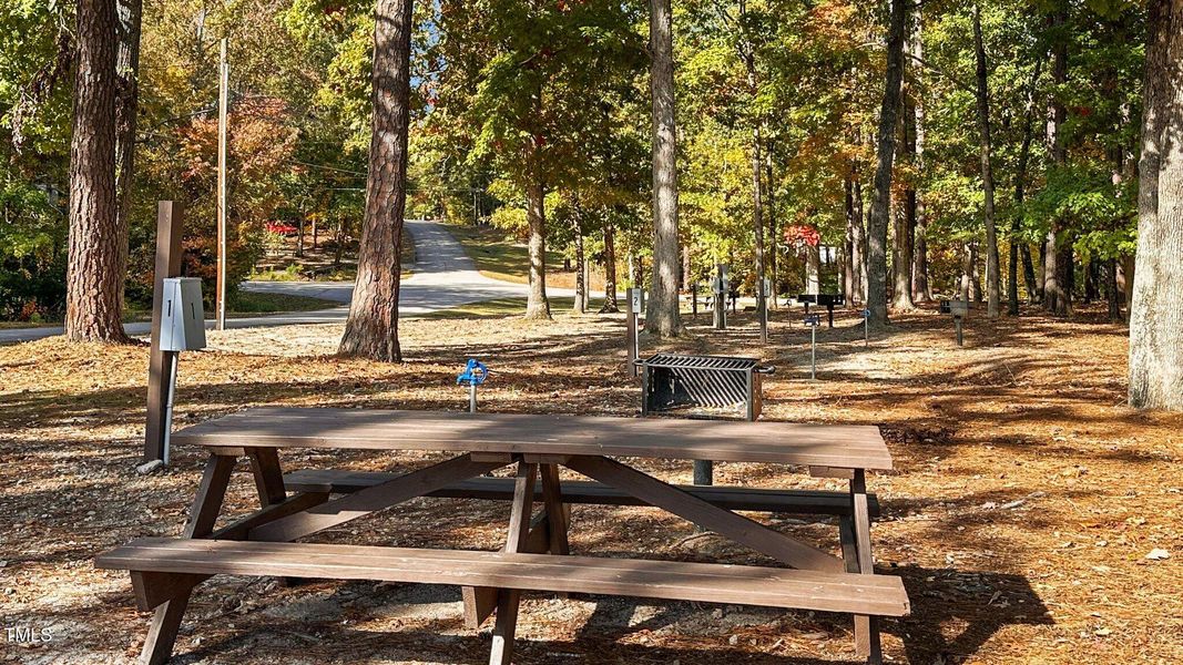 76-web-or-mls-IMG_6009