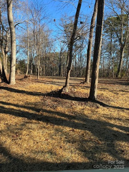Natural landscape and outdoor views near  in Blacksburg (Image 20).