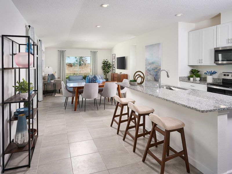 Furnished interior view inside a new home in Benton Hills - Premier Series, Brooksville (Image 15).