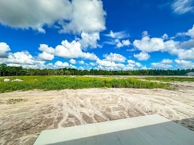 Site preparation for new homesites in Doctor's Creek, Ludowici (Image 22).