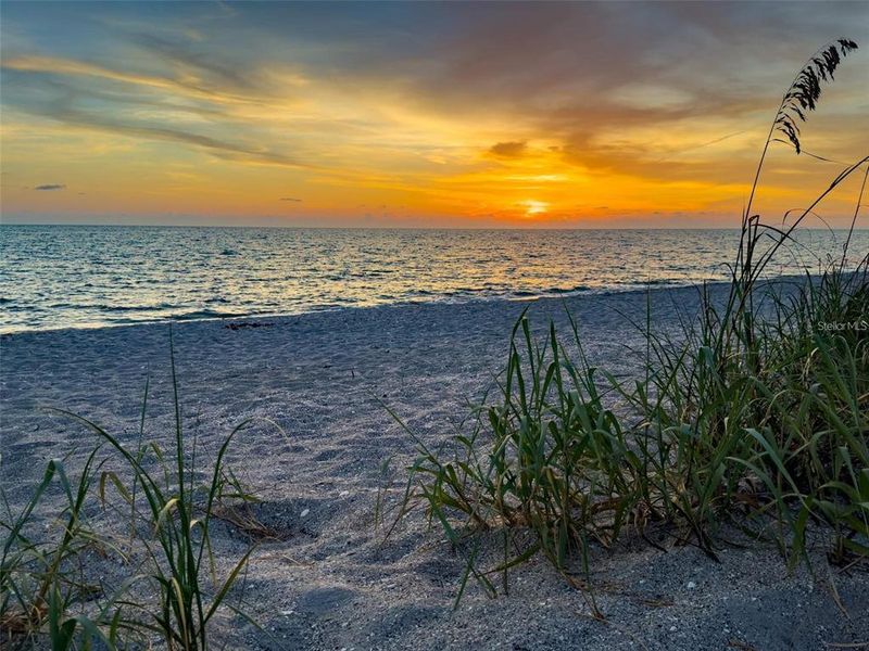 Natural landscape and outdoor views near  in Englewood (Image 57).