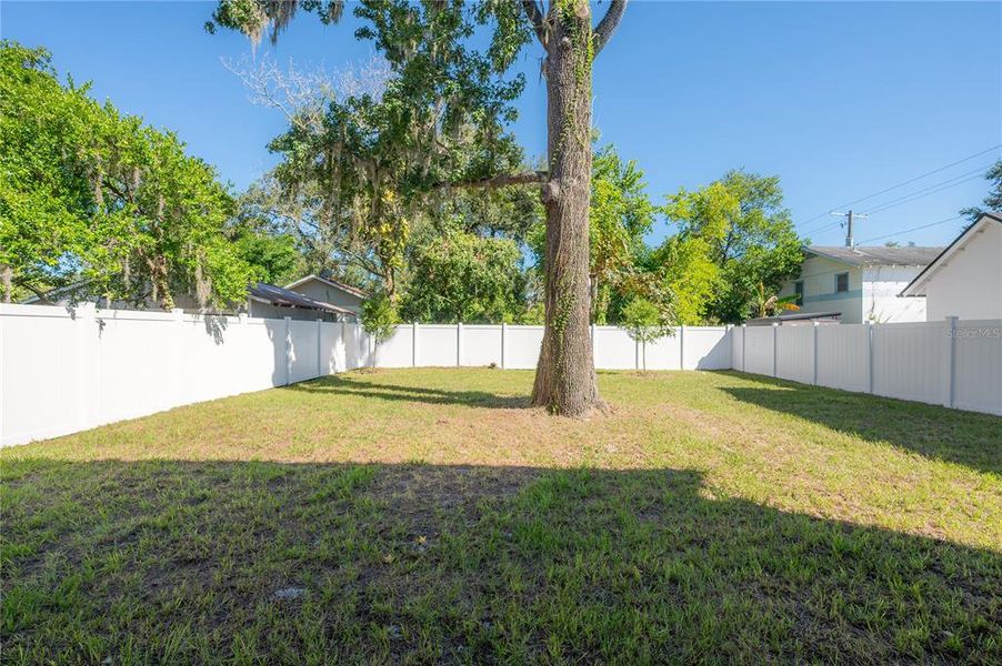 Natural landscape and outdoor views near  in Tampa (Image 45).