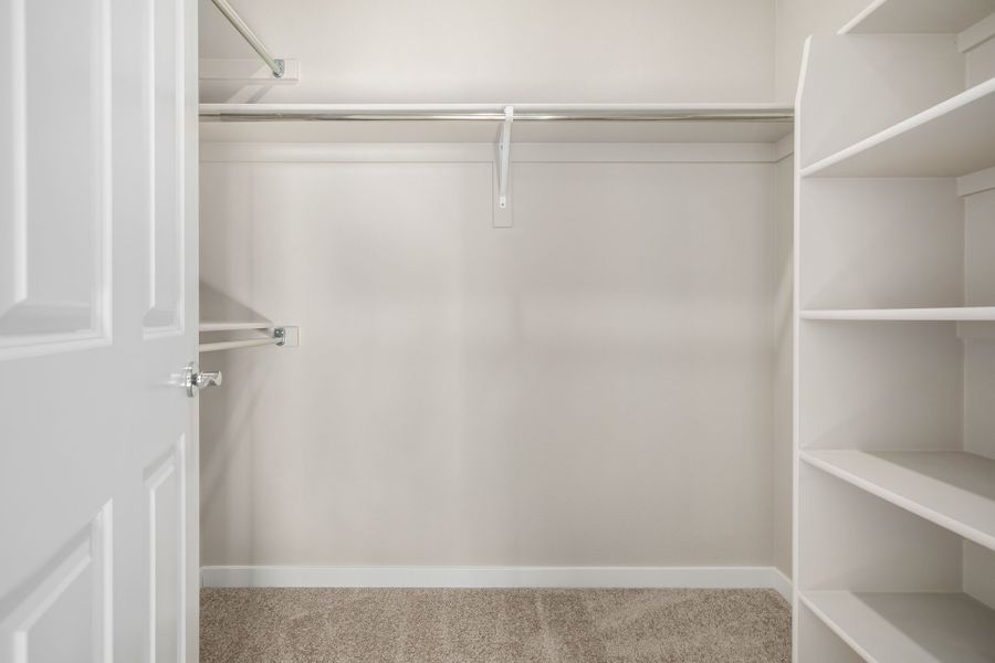 Spacious, unfurnished interior of a new home in Arras Park, Thornton (Image 28).